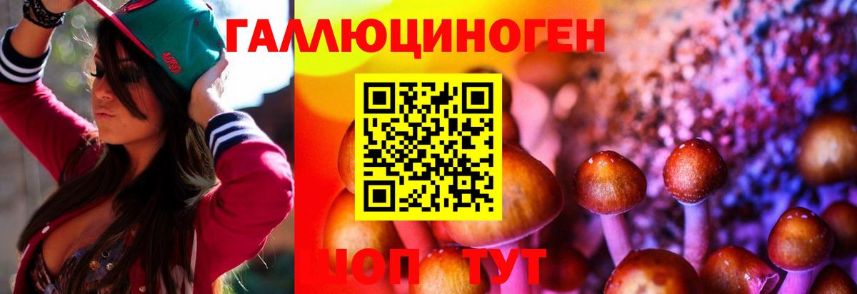 где найти наркотики  Галлюциногенные грибы мицелий  Вход с VPN  Каменск-Шахтинский 